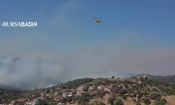 Ayvalık ve Gömeç'te Orman Yangınıyla Zaman Yarışı