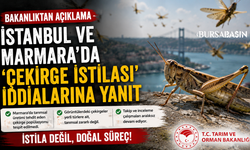 Bakanlıktan Çekirge İstilası İddialarına Net Yanıt