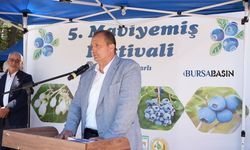 İznik'te Maviyemiş Festivali Coşkusu Yaşandı