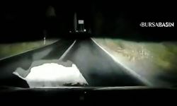 Orhangazi'de Domuz Kazası Kameraya Yansıdı