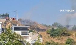 Osmangazi'de Otluk Alan Yangını Korkuttu