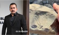 İznik Gölü Kıyısında 70 Milyon Yıllık Fosil Bulundu