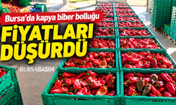 Bursa’da kapya biber bolluğu fiyatları düşürdü