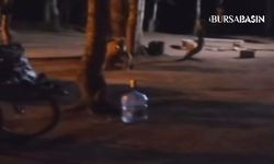 Uludağ'da kamp yapan ailenin yanına ayı geldi