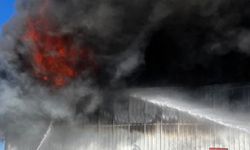 Yenişehir’de siyah incir deposunda yangın!