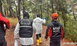Bursa Kent Ormanı'ndaki ceset için Tolgahan şüphesi