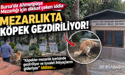 Bursa'da Ahmetpaşa Mezarlığı İçin Dikkat Çeken İddia