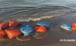 Mudanya’da 900 Kilo Kum Şırlanı Denize Geri Bırakıldı