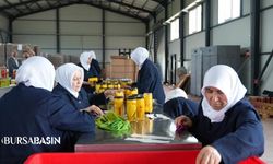 Gürsu’da Kadın Emeğiyle Doğal Turşu Üretimi