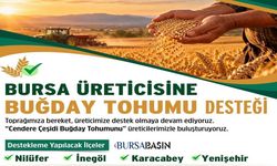 Bursa’da çiftçilere buğday tohumu desteği: Son gün 26 Ekim