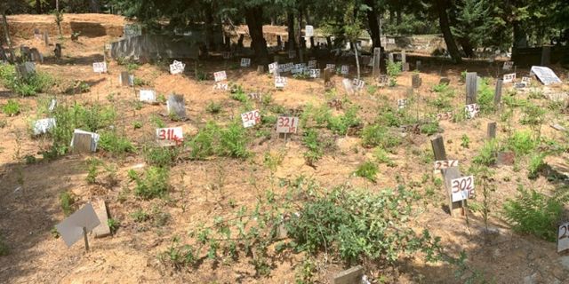 Diyarbakır'da Belediye İmkanlarıyla PKK'lı Teröristler İçin Mezarlık İnşa Edildi