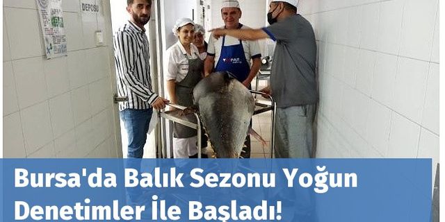 Bursa'da Balık Sezonu Yoğun Denetimler İle Başladı!