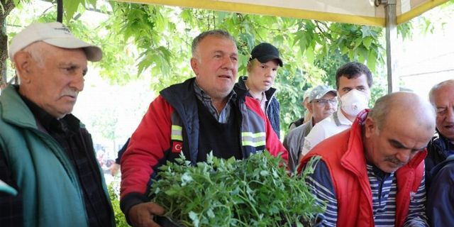 Bursa Gemlik'te Ata tohumları hayata dönüşüyor