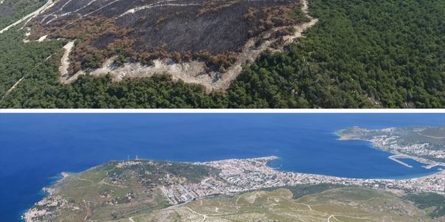 Yandıktan sonra ağaçlandırılan ormanların "öncesi ve sonrası" fotoğrafları yayınlandı