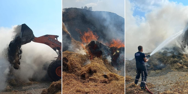 Bursa'da Hayvan Çiftliğinde Korkutan Yangın