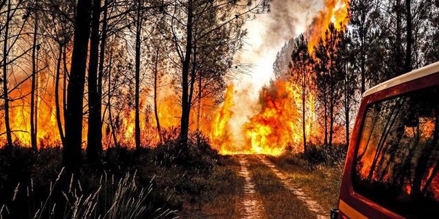 Fransa'da orman yangını: 6 bin hektar alan kül oldu