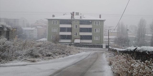 Erzurum, Ardahan ve Kars’ta kar, soğuk hava etkili oluyor