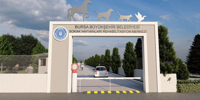 Bursa'da Can dostlara Rehabilitasyon Merkezi