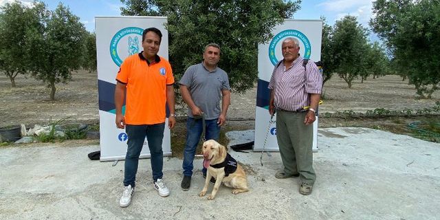 Manisa'da 'Üzüm' çiftçinin can yoldaşı olacak