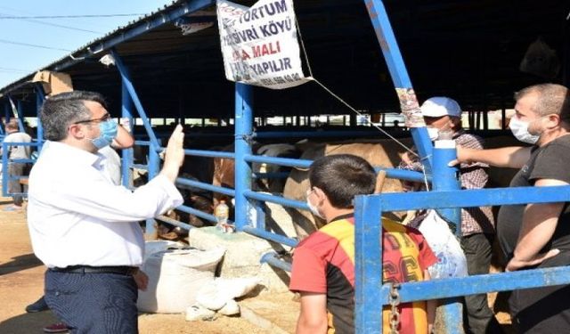 Bursa Yıldırım'da Kurban Bayramı Hazırlıkları Bitti!