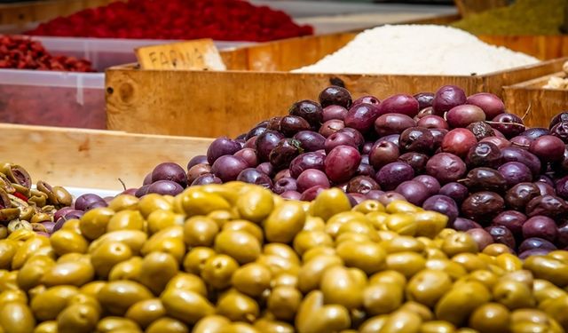 Marmarabirlik'ten açıklama! Rekolte beyan alımları başladı