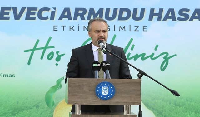 Gürsu'da Deveci Armudu Hasadı Başladı