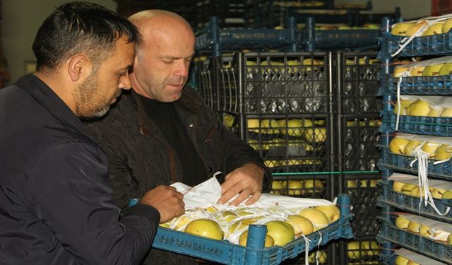 Bursa'da Meyve Üreticilerinin Yüzü İhracatla Güldü