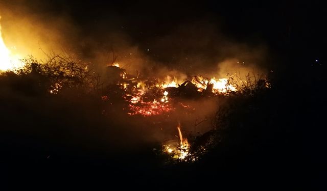 Bursa'daki İznik Gölü Kıyısında Sazlık Alanda Yangın!