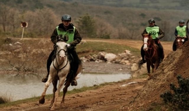 Tabiat Endurance Atlı Dayanıklılık Yarışları Kestel'de Düzenlendi