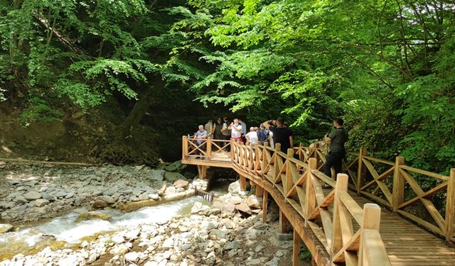 Bursa'daki Oylat Şelalesi Ekoturizm Parkuru Açıldı