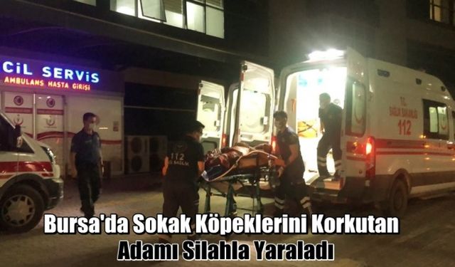 Bursa'da Köpeklerini Korkutan Adamı Silahla Yaraladı