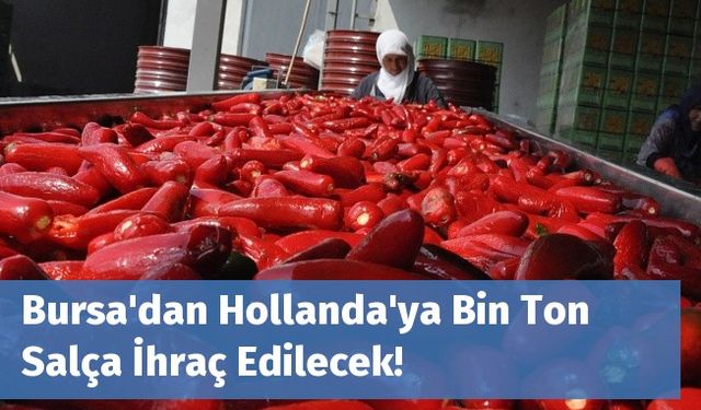 Bursa'dan Hollanda'ya Bin Ton Salça İhraç Edilecek!