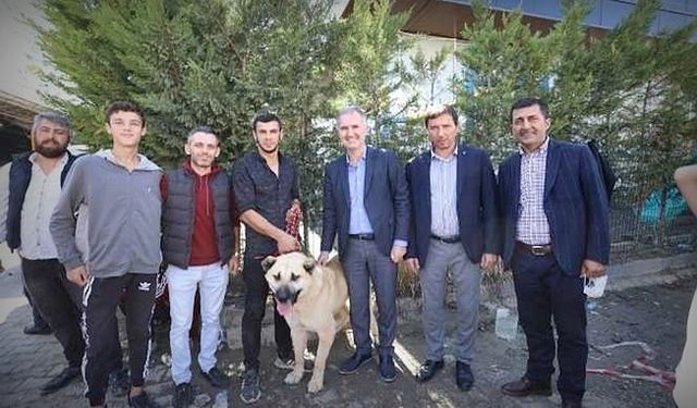 Çoban köpekleri Yarışması düzenlendi