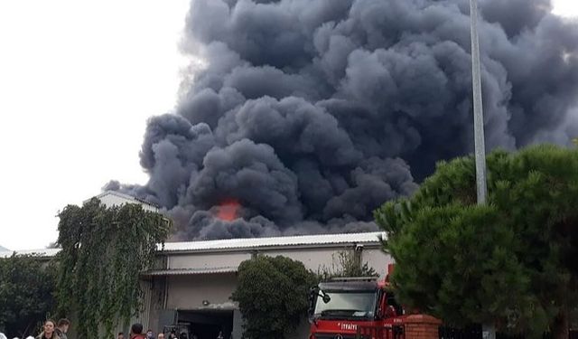Bursa'daki Yangın Devam Ediyor