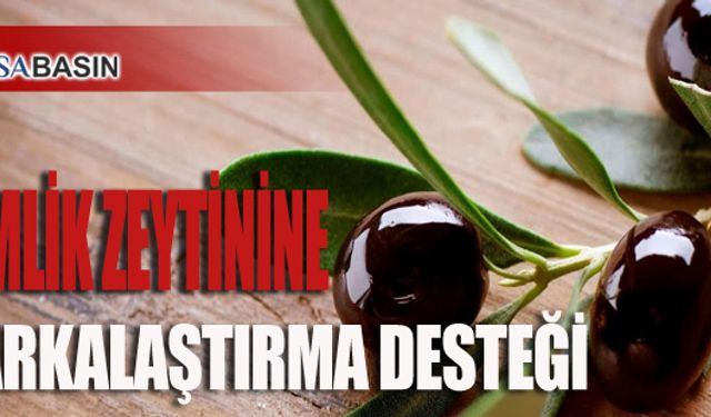 Gemlik Zeytinine Markalaştırma Desteği