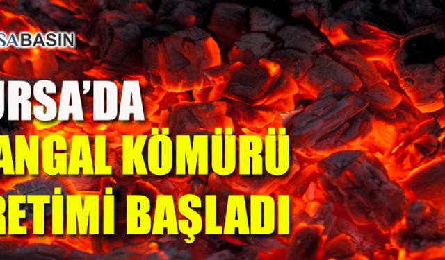 Bursa'da Mangal Kömürü Üretimi Başladı