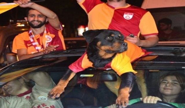 Galatasaray'ın Şampiyonluğu Bursa'da Coşkuyla Kutlandı