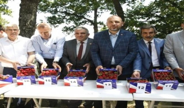 Bursa'da Gerçekleştirilen Çilek Festivaline Yoğun İlgi