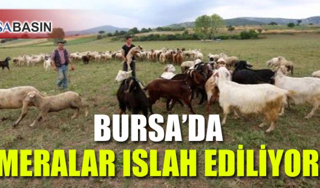 Bursa'da Hayvancılığı Geliştirme Adına Meralar Islah Ediliyor