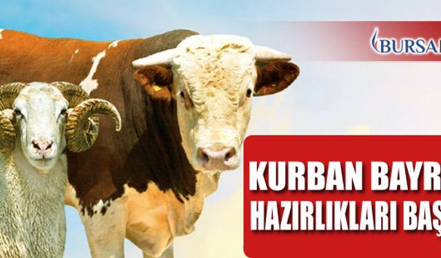 Bursa'da Kurban Bayramı İçin Hazırlıklar Devam Ediyor