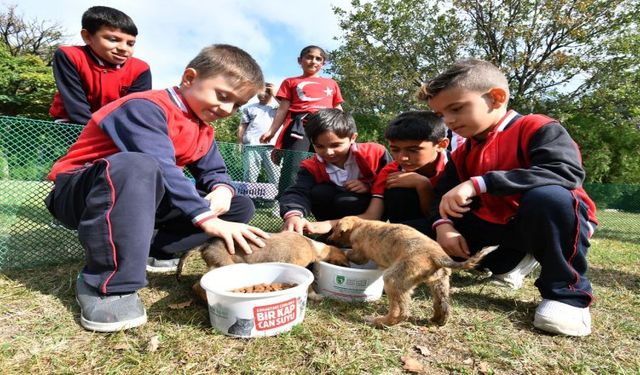 Bursalı Miniklerden Can Dostlar İçin Anlamlı Proje