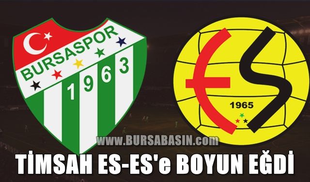 Bursaspor Kendi Sahasında Es-Es'e Mağlup Oldu