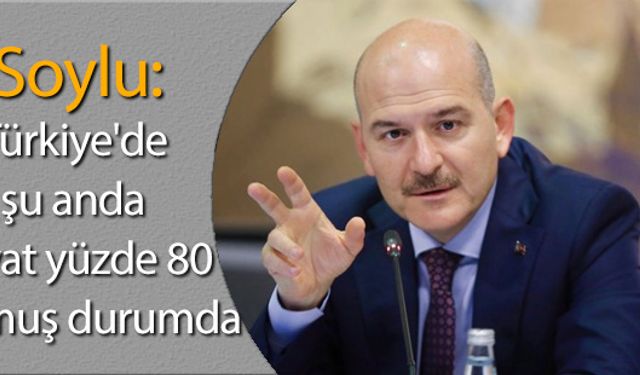 Soylu: Türkiye'de hayat yüzde 80 durmuş durumda