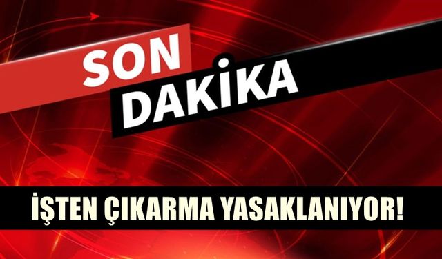 Yeni Teklif Paketi! İşten çıkarma 3 ay yasaklanıyor