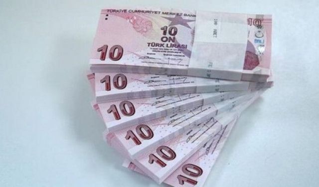 Merkez Bankası tarafından yeni 10 TL'ler tedavüle verilecek