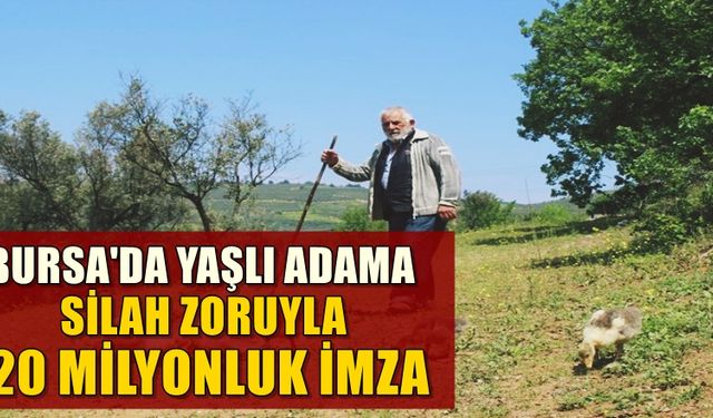 Bursa'da yaşlı adama silah zoruyla 20 milyonluk imza...