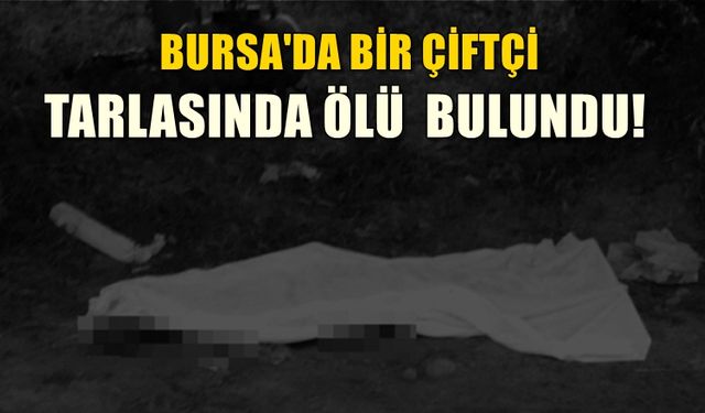 Bursa'da çalışmak için gittiği tarlada cesedi bulundu