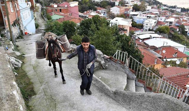 Bursa'da Belediye Eşek İle Malzeme Taşıyor