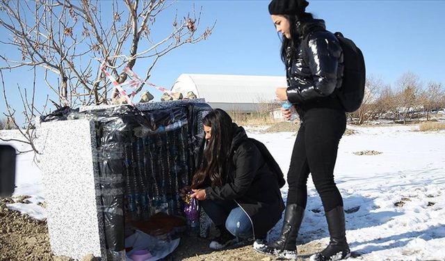 Üniversite öğrencileri: Sokak hayvanları için kulübe yaptı