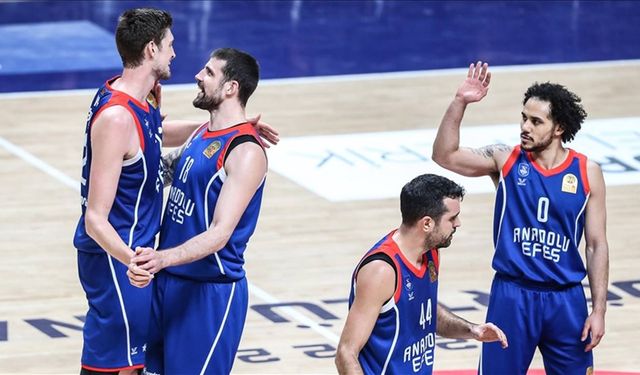 Anadolu Efes Fenerbahçe Beko'yu 86-72 yenerek şampiyon oldu